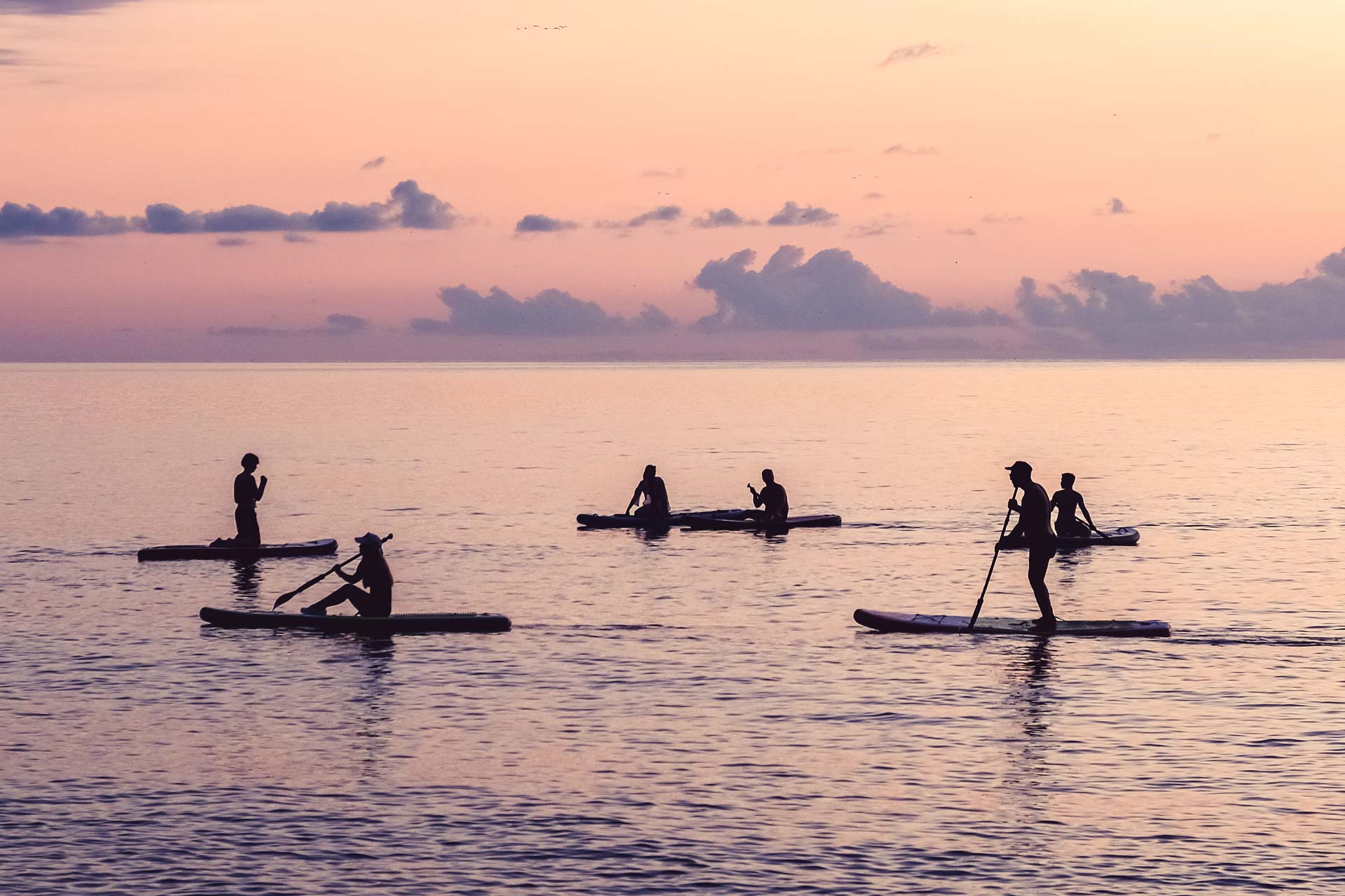 Learn and provide direction